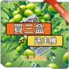 東京魔盒煙彈+主機<br>[買三送主機]